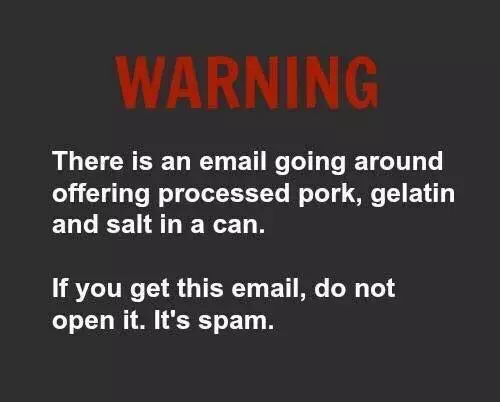 Email Humor Not Phishing – Carmelo Walsh